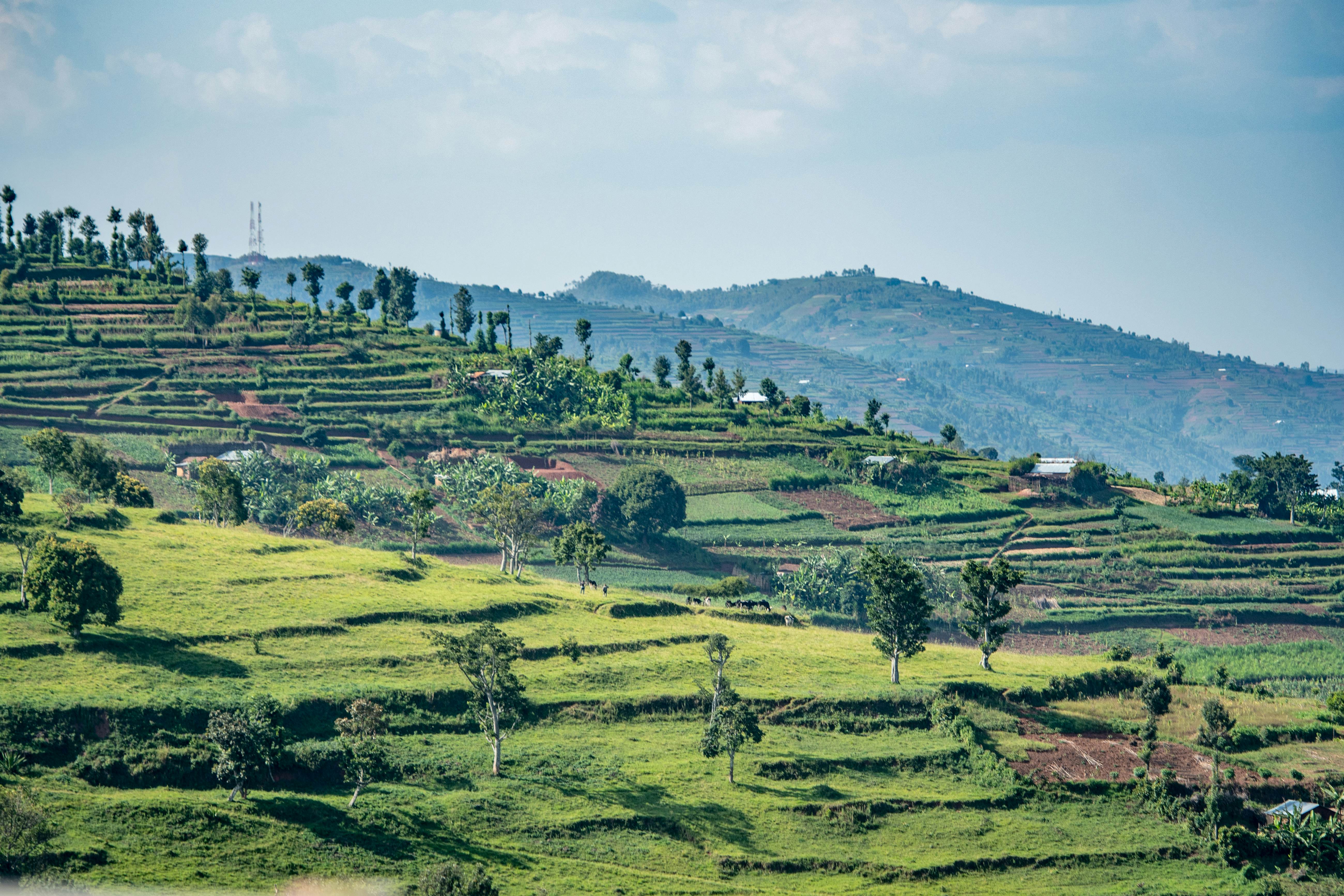 Rwanda landscape